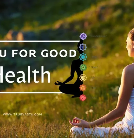 Vastu for Good Health