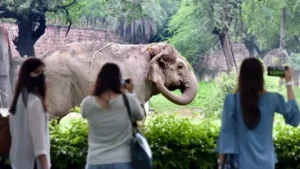 Largest Zoo in India