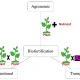 Biofortification Market