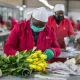 Cut Flower Packaging Market