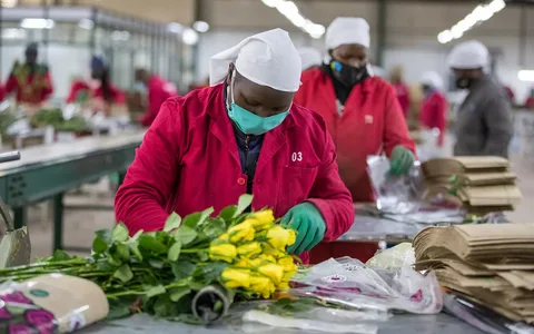 Cut Flower Packaging Market