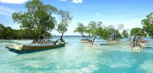 Andaman Tour Packages