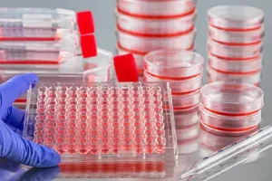 3D Cell Culture Market