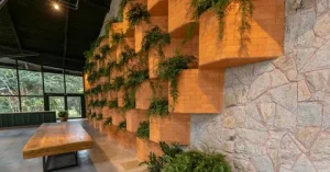 Biophilic Design