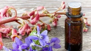 Flower Extract Market