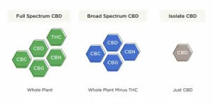 Full-Spectrum