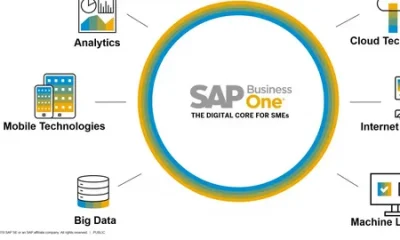 SAP Consulting Company