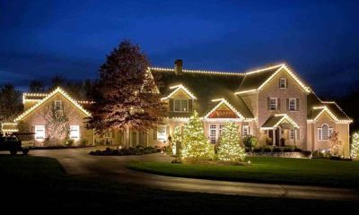 Professional Holiday Lighting