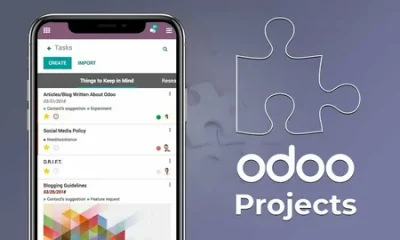 Odoo Development Services