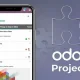Odoo Development Services
