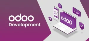 Odoo Development Services