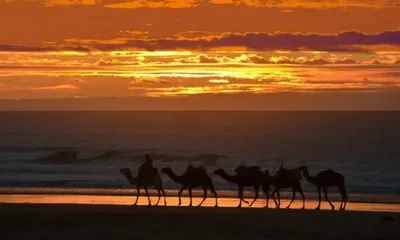 Essaouira Sunset Tour