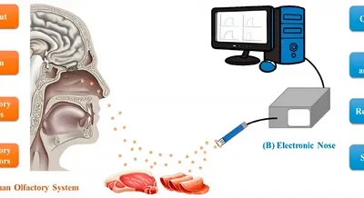 Electronic Nose Market