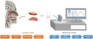 Electronic Nose Market