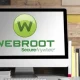Webroot subscription
