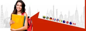 Study Abroad Consultant