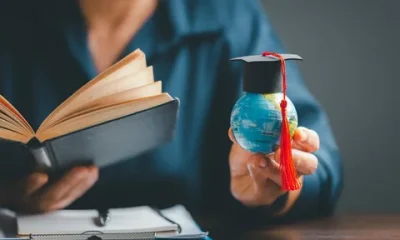 Study Abroad Consultant