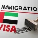 visa consultancy