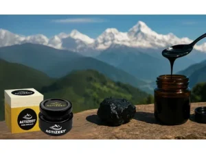 Shilajit Resin
