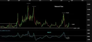 Ammonia Price forecast