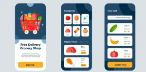 grocery delivery app