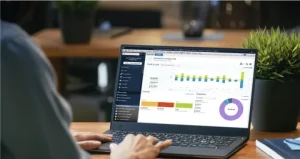 QuickBooks Consulting Service