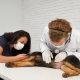 24/7 pet clinic in Dubai