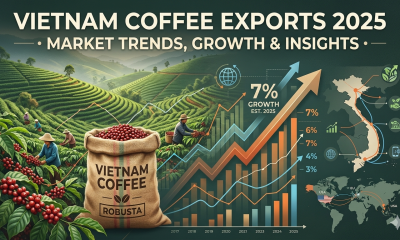 Vietnam Coffee Exports