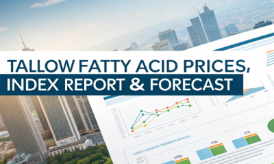 Tallow Fatty Acid Price History
