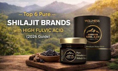 shilajit