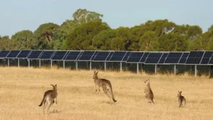Australian solar rebates