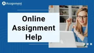 Assignment Help