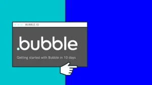 Bubble developer