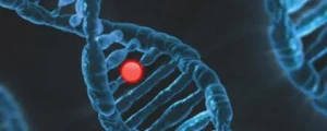 Genotyping Market Growth