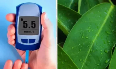 Ayurvedic treatment for diabetes