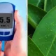 Ayurvedic treatment for diabetes