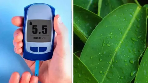 Ayurvedic treatment for diabetes