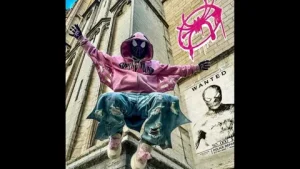 pink spider hoodie