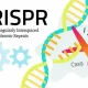 CRISPR