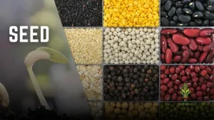 biological seed treatment market