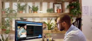 dedicated WordPress developer