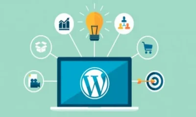 dedicated WordPress developer