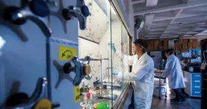 Biomedical Engineering