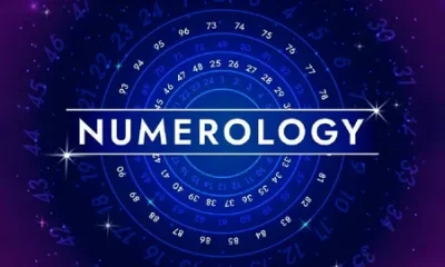Numerology Course