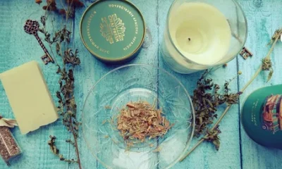 Wellness Tea Blend