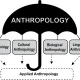 Anthropology Optional