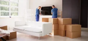 Prime Zone MoversĀ