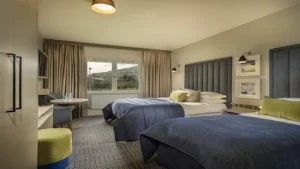New Apartments in Carlingford