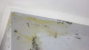 Hidden Flood Damage