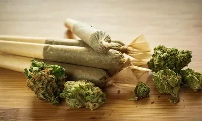 Non-Infused pre-roll